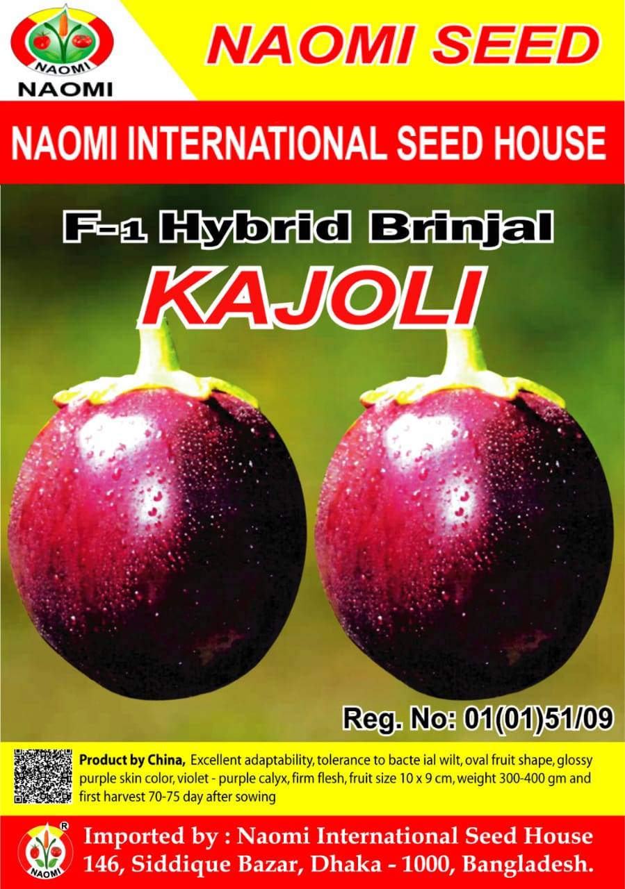 Brinjal / তাল বেগুন ( F1 - Hybrid ) KAJOLI