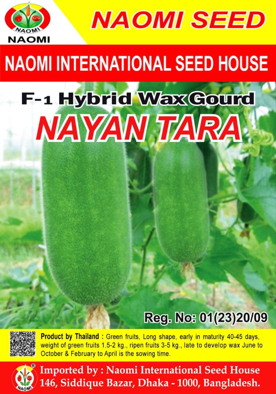 F1 হাইব্রীড চাল কুমড়া - নয়ন তারা । Wax Gourd Nayan Tara
