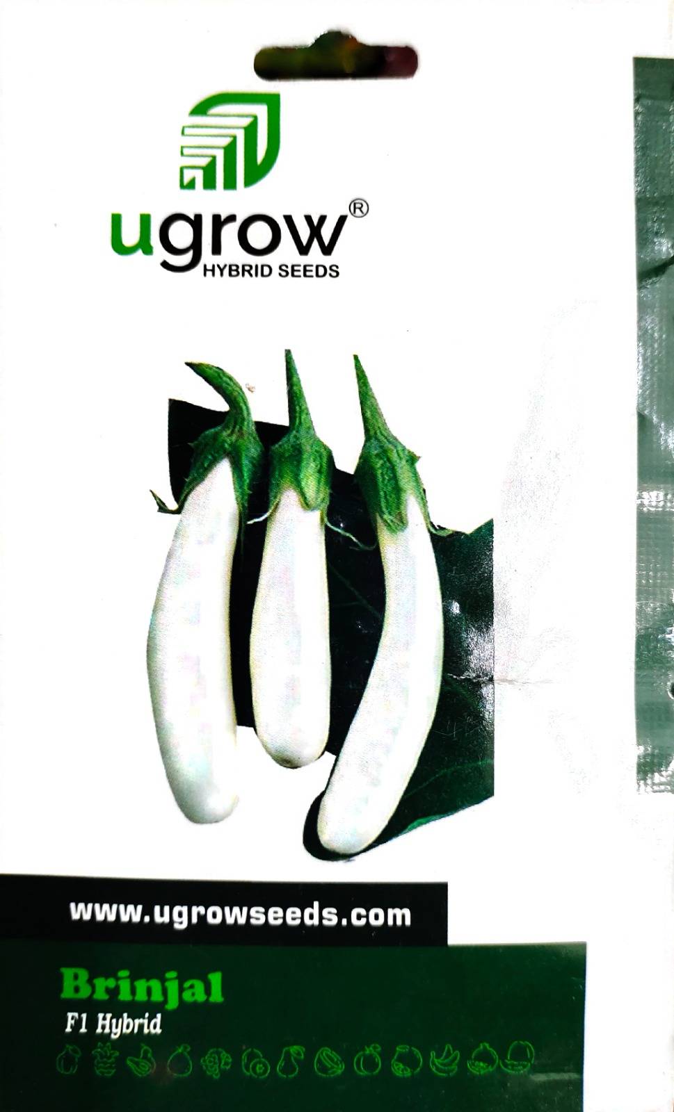 UGrow F1 Hybrid Brinjal (সাদা লম্বা বেগুন)