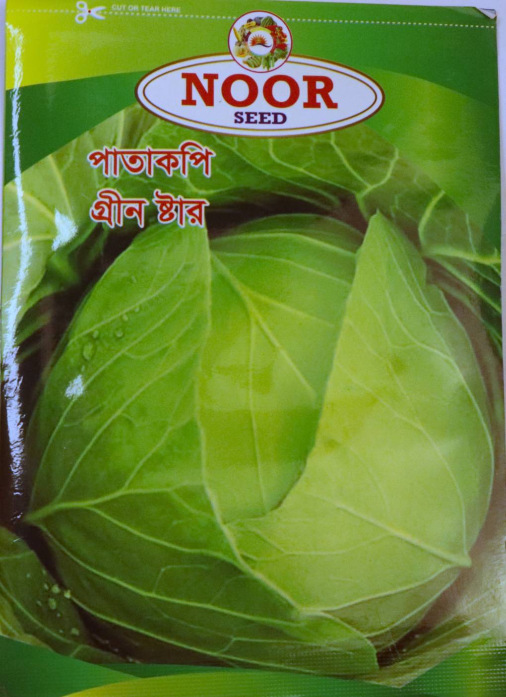 বাঁধাকপি গ্রীন ষ্টার । Cabbage Green Star