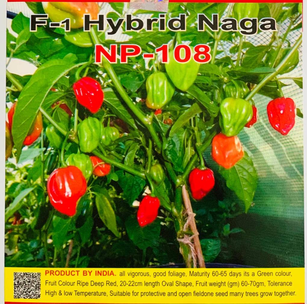 হাইব্রিড নাগা  মরিচ NP-108