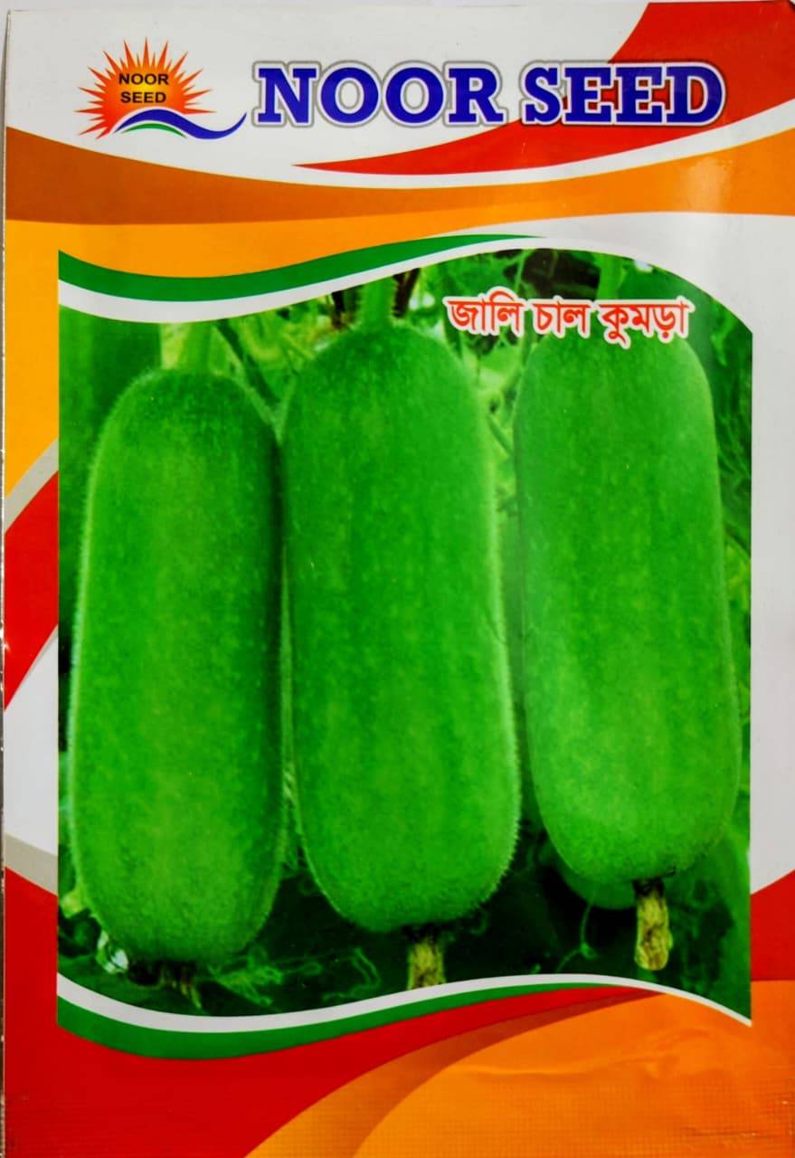 জালি চাল কুমড়া বীজ