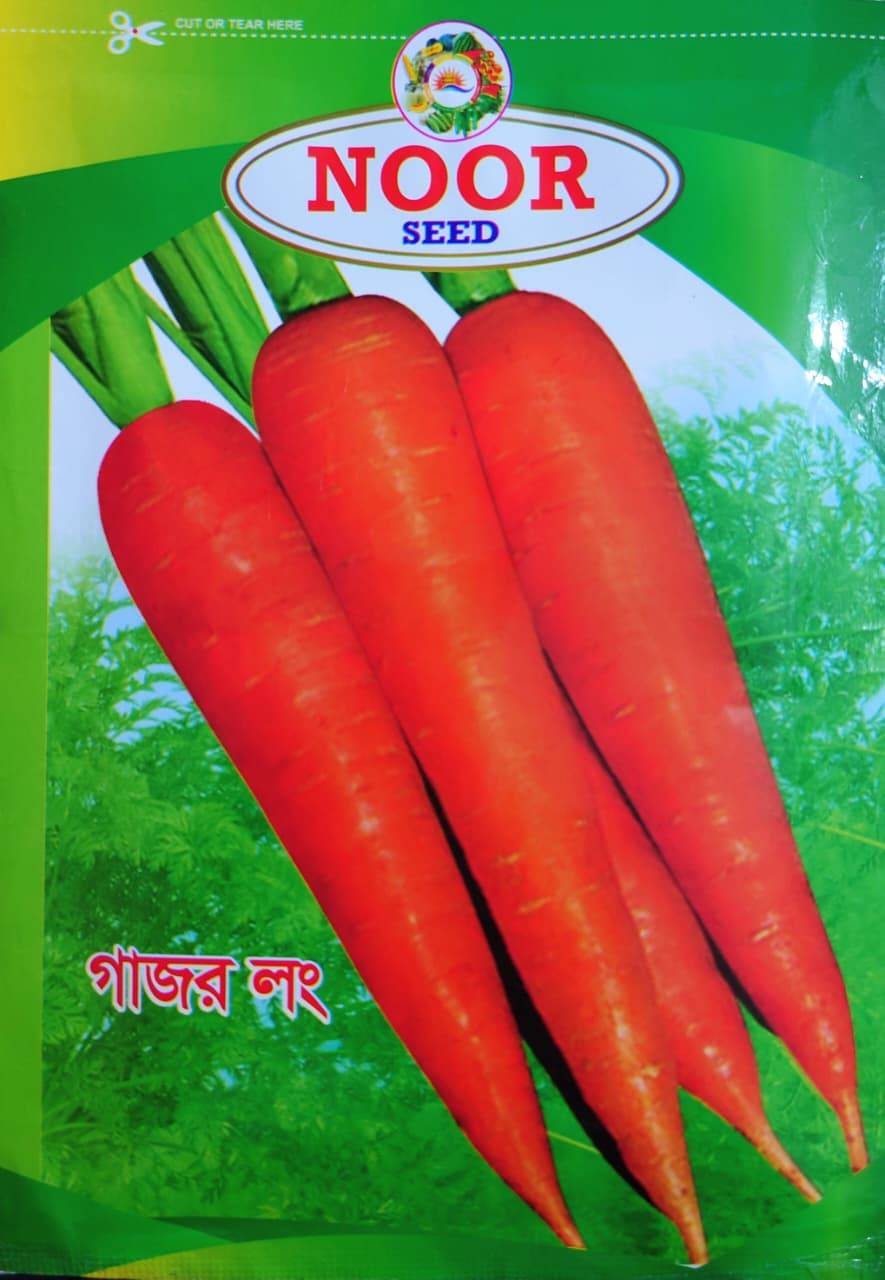 গাজর লং