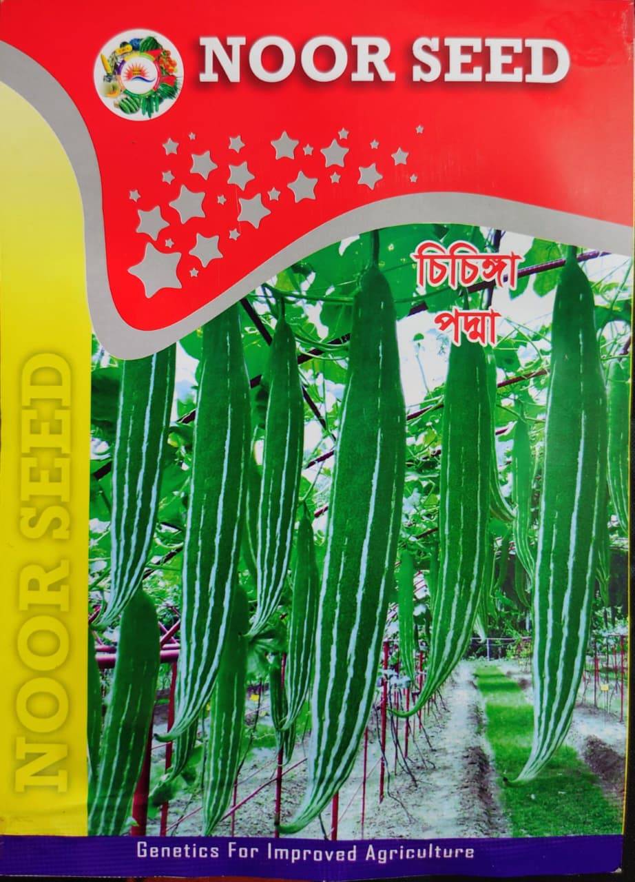 চিচিঙ্গা পন্মা