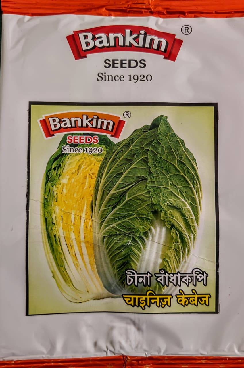 চীনা বাঁধাকপি