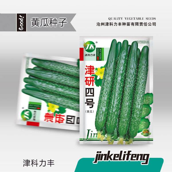 জিনইয়ান নং ৪ লম্বা শসা – প্রায় ৫০ বীজ | Zinyan No. 4 Long Cucumber