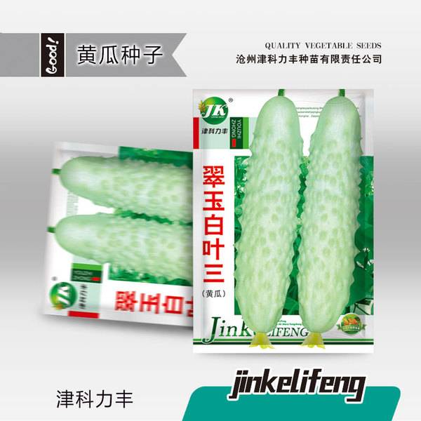জেড হোয়াইট লিফ থ্রি শসা – প্রায় ৫০ বীজ | Jade White Leaf Three Cucumbers