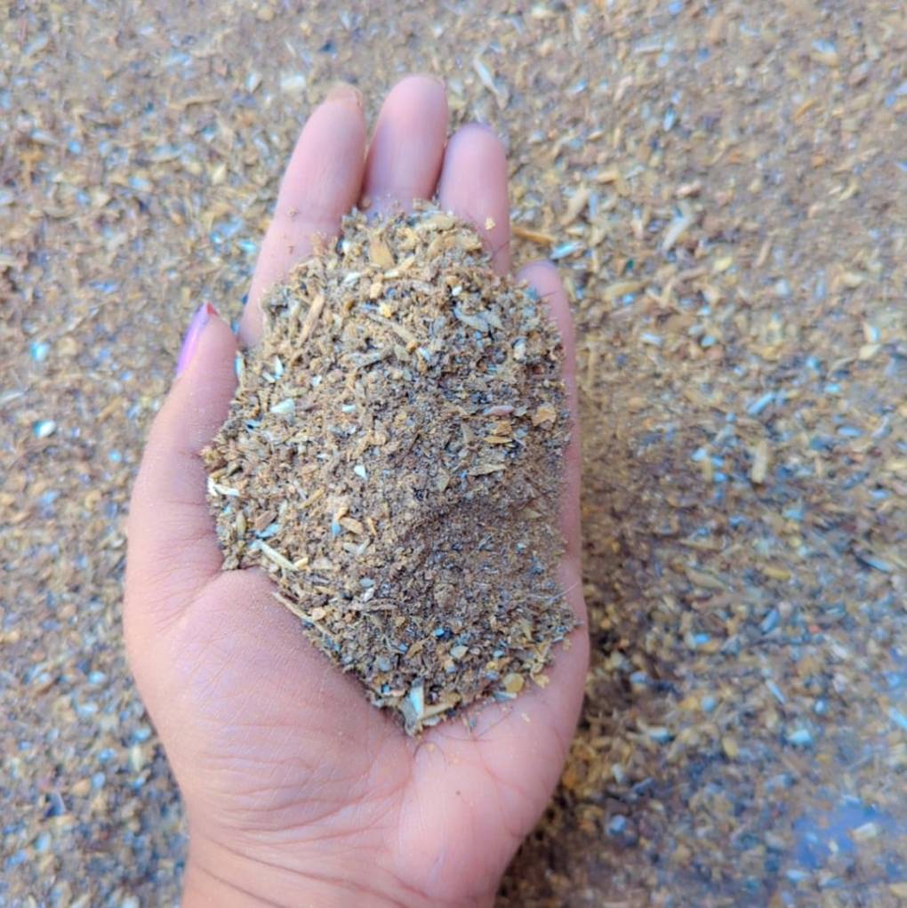 হাড়ের গুড়ো