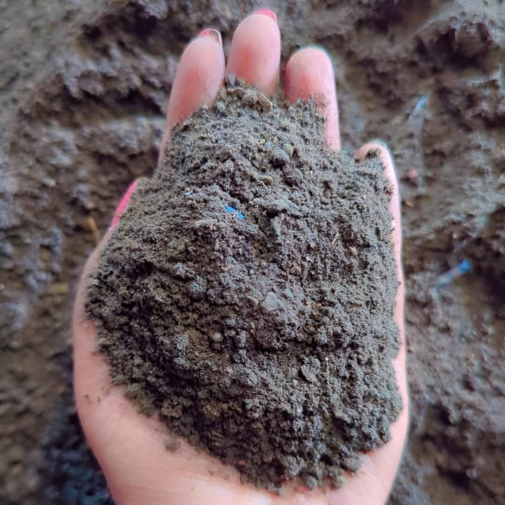 ভার্মি কম্পোস্ট কেজি ৩৫ টাকা