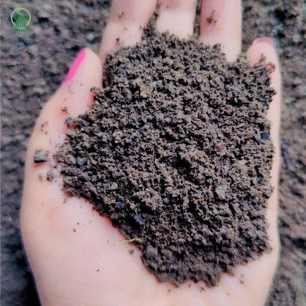রেডি মিক্স মাটি Ready Mix Soil