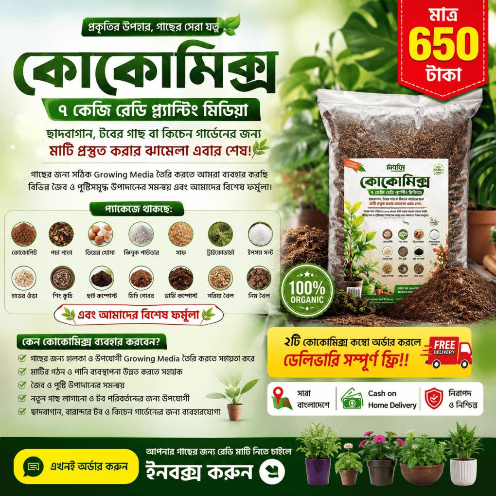 কোকোমিক্স কম্বো