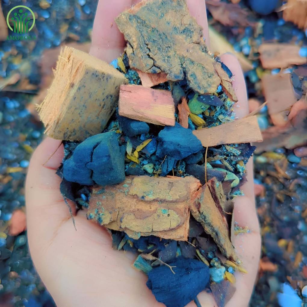 মন্সটেরা মিডিয়া -কেজি  ১৫০ টাকা